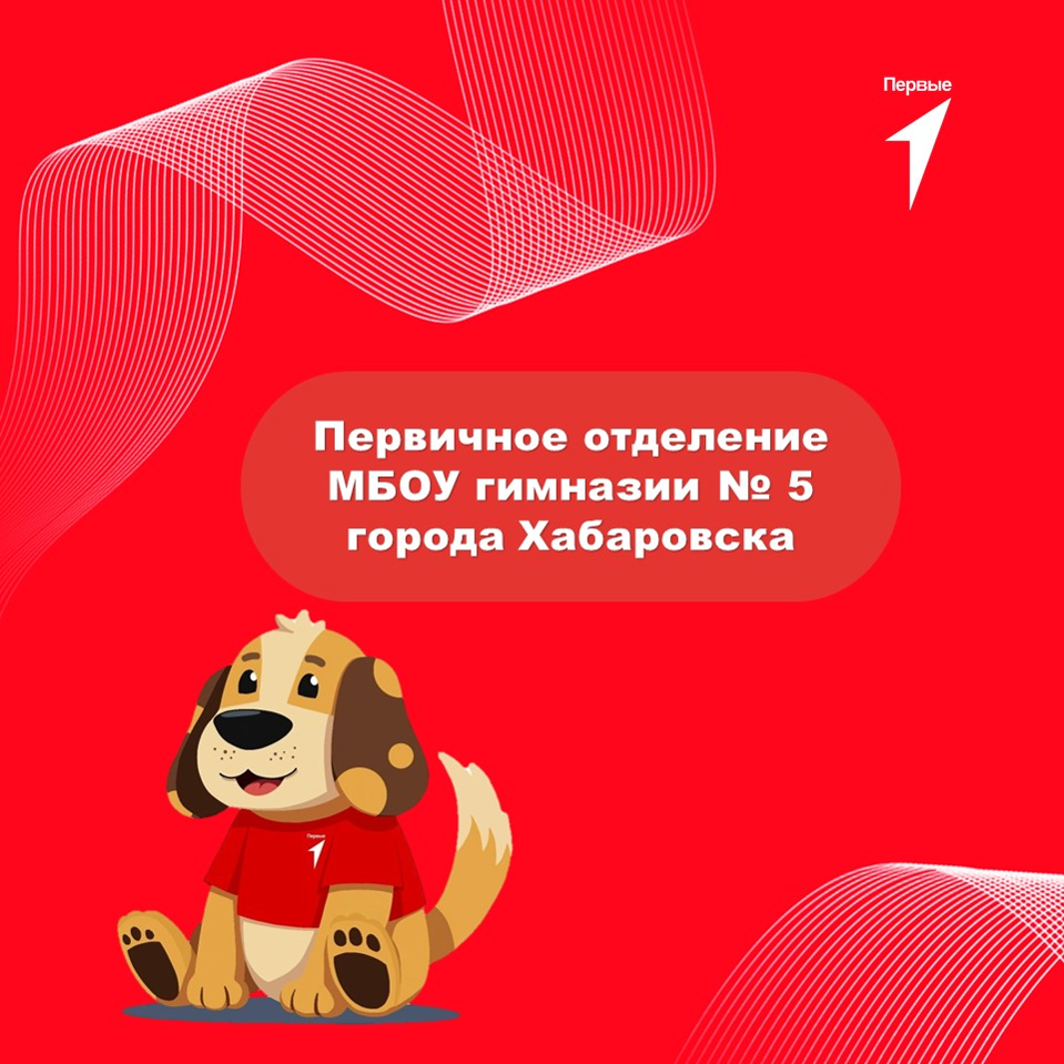 Изображения.