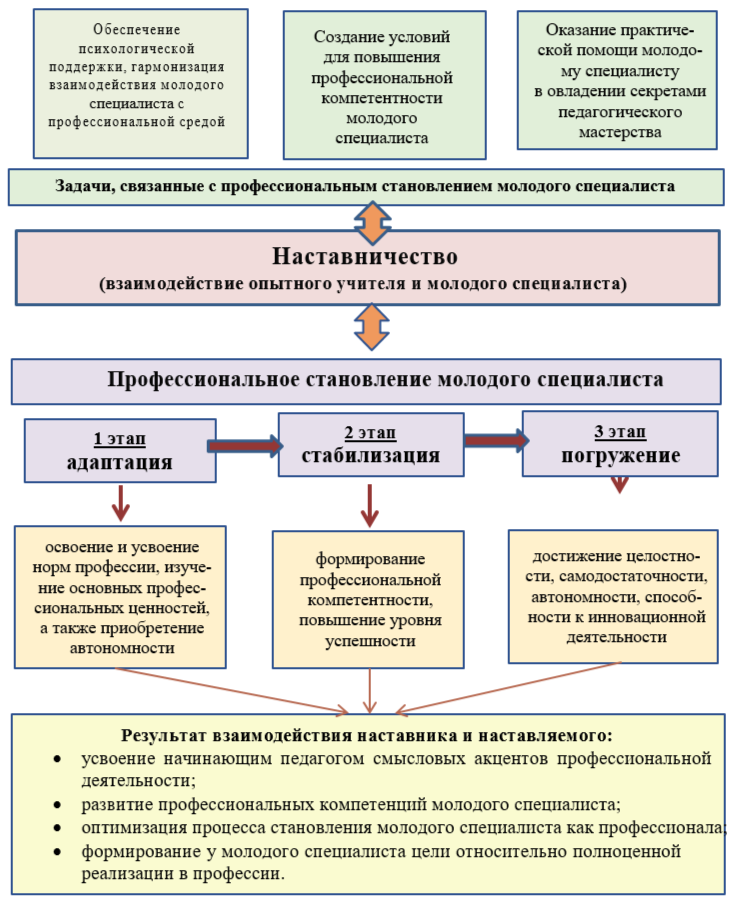 Модель профессионального становления молодого  специалиста в МБОУ гимназии № 5.